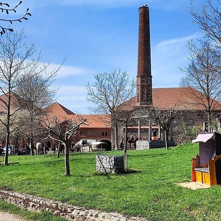 Tinyhousebeidresden 1 - Direkt Am Naturteich - Naehe Saechsische Schweiz, Dresden Großharthau Exterior foto