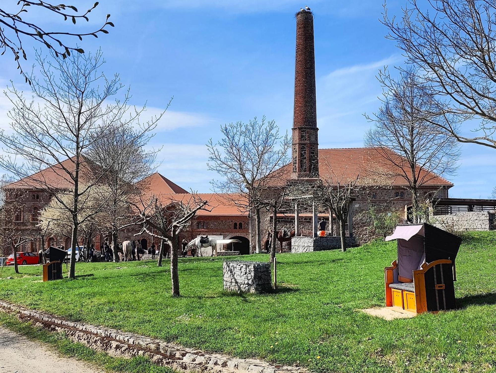 Tinyhousebeidresden 1 - Direkt Am Naturteich - Naehe Saechsische Schweiz, Dresden Großharthau Exterior foto